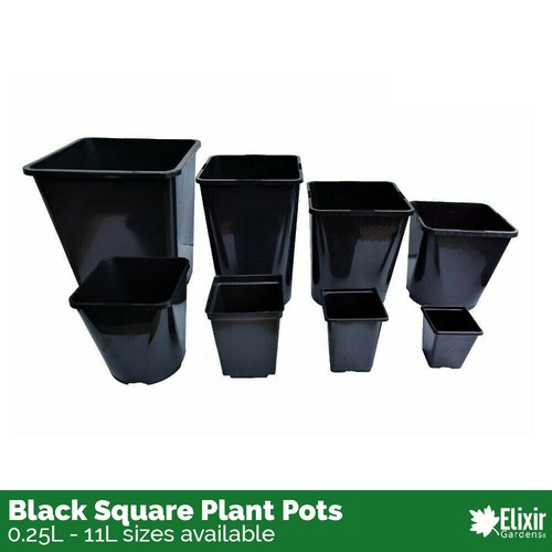 Square plant pot - 1, 2
