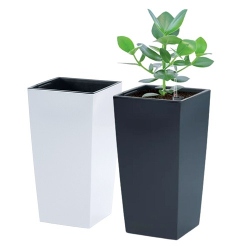 Tall planter plant - planter,
