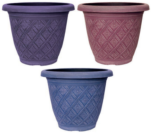 Decorative small large plant - large,