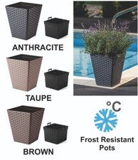 SPRING CLEARANCE % SALE Large