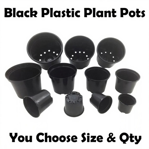 Black plastic plant pots - plant,