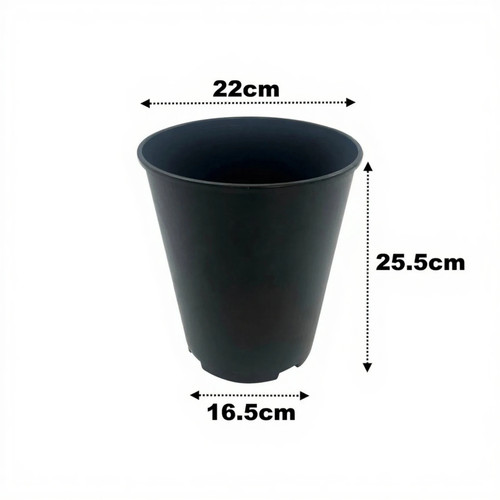 Litre deep rose - 7,