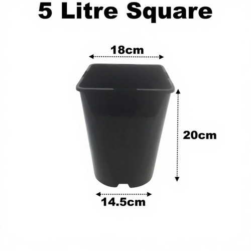 Litre square plant pots - plant,
