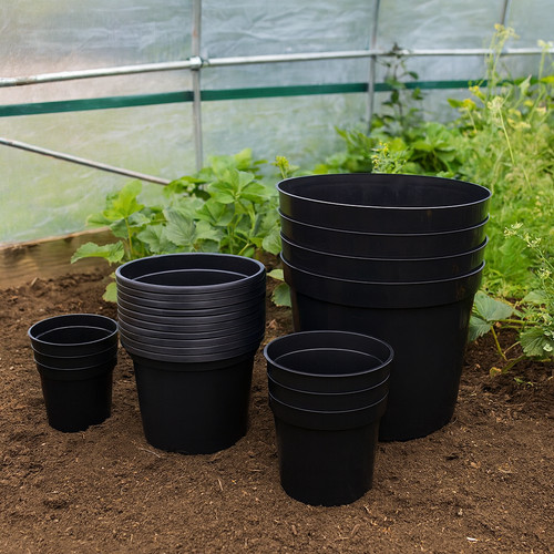 Plant pots round - plant,