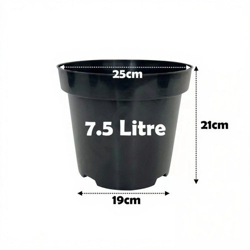 Litre black plant pots - plant,