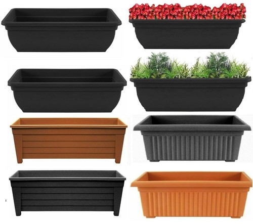 Set trough plant pot - plant,