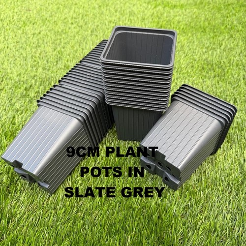 9cm square plant pots - ,