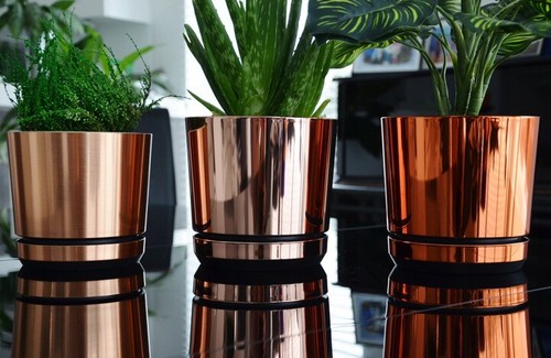 Modern plastic plant - plant, small