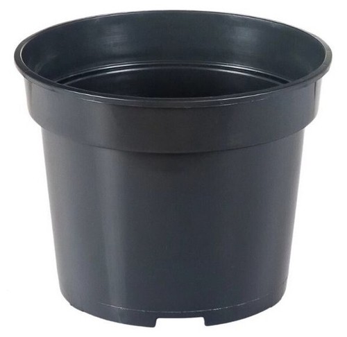 Black plastic plant - plant, small